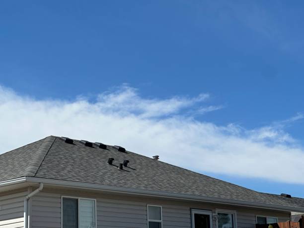 Best Slate Roofing  in Springfield, MO